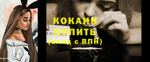 дурь Бородино