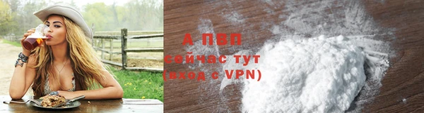 дурь Бородино