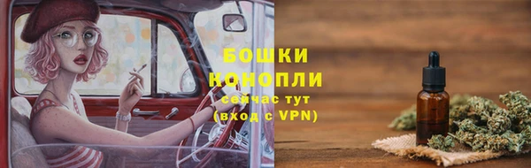 дурь Бородино